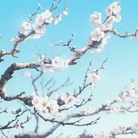 πΌ | yiu (@uyllyo) 's Twitter Profile