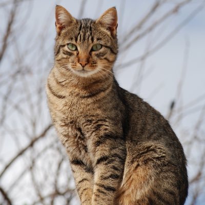 PPosey13914's profile picture. 私は人々にお金を与えるためにここにいる💰💰💰💰💰💰💰💰