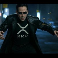 Al (@alvaro1491962) 's Twitter Profile