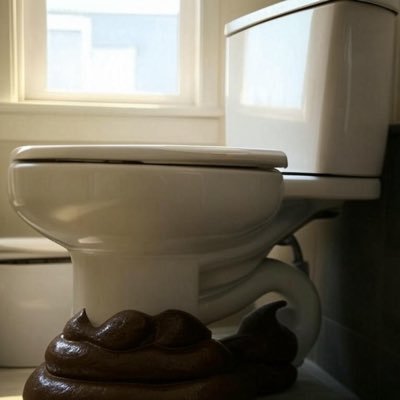 MorningConstit's profile picture. 