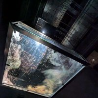 ははは (@ryomaly0620) 's Twitter Profile