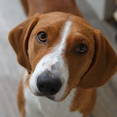 Snake6723826221's profile picture. 