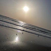 onuha (@modou615) 's Twitter Profile
