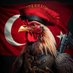 🇹🇷🐓Deli horoz 2🐓🇹🇷 (@hrz20) Twitter profile photo 🇹🇷🐓Deli horoz 2🐓🇹🇷 (@hrz20) Twitter profile photo