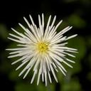 Myra McGrath - @mcgrath125 - Twitter