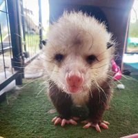 marcus (@howdoistan) 's Twitter Profile