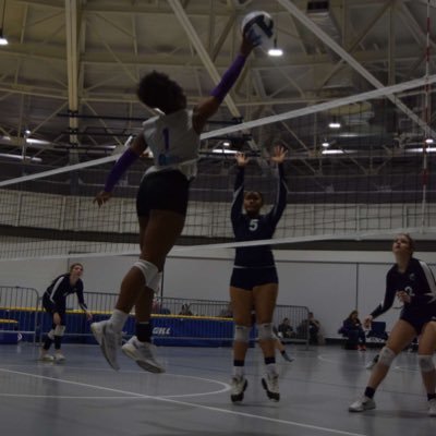 averi_wiltz9's profile picture. 5'5 CO 2027 Utility Player PA Memorial High School FMTVAChiefs 17 Purple💜