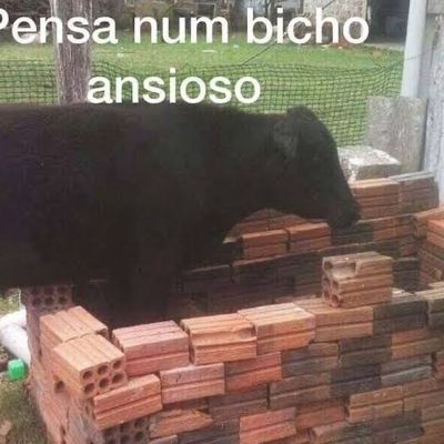 ElPedin's profile picture. a meta é fazer tudo que eu disse nunca faria
