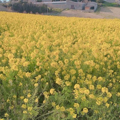 mari_7_10's profile picture. 41歳シングルマザー／👩23🧑‍🦰21🐧✖️孫👶無言フォロー失礼します🙇‍♀️／日常を気ままに呟きます😊