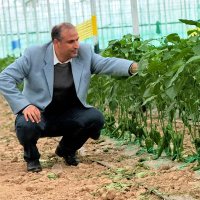 Dr. Halil HATİPOĞLU (@hatipogluhalil) 's Twitter Profile