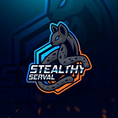 StealthyServal's profile picture. YouTube content creator and occasional streamer.