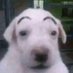 CoolPasta (@just4ytstuff) Twitter profile photo CoolPasta (@just4ytstuff) Twitter profile photo