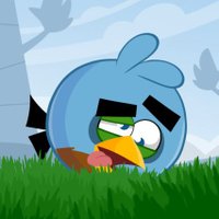 FreddieBird (@freddiebird14) 's Twitter Profile Photo FreddieBird (@freddiebird14) 's Twitter Profile Photo