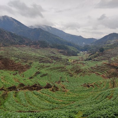 fdsfeereff's profile picture. 