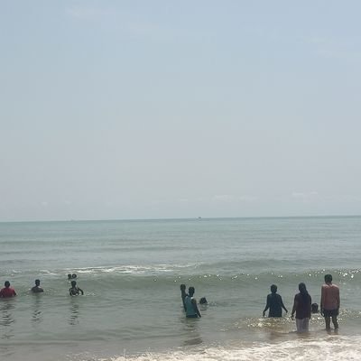 MANI1388445's profile picture. 