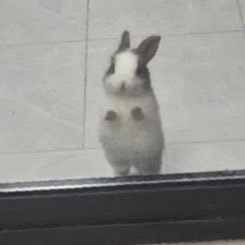 shenlong616's profile picture. 