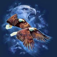 pmac13WDE (@pmac13wde) 's Twitter Profile