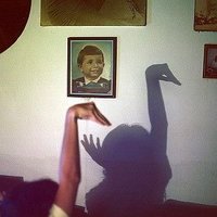 Yara (@iamnotyourdove) 's Twitter Profile Photo