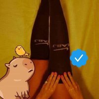 #L𝕏Hereder𝕏DePitan𝕏 (@lolomey) 's Twitter Profile