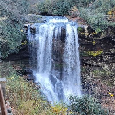 CherA_NC67's profile picture. Native Charlottean, music lover, enjoy volunteering for causes I believe in and support. #HopeMatch #ClassroomCentral #SHFoodBankMetrolina Find your passion💖