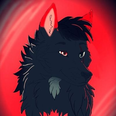Lucas Moonさんのプロフィール画像