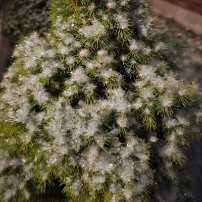 MrFreedom247's profile picture. I am