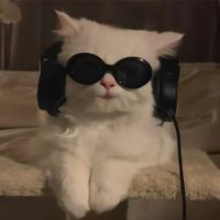 rchvd (@rchvdfiles) 's Twitter Profile Photo rchvd (@rchvdfiles) 's Twitter Profile Photo