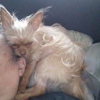 Mina Crider Green (@mad4plaidmina) 's Twitter Profile