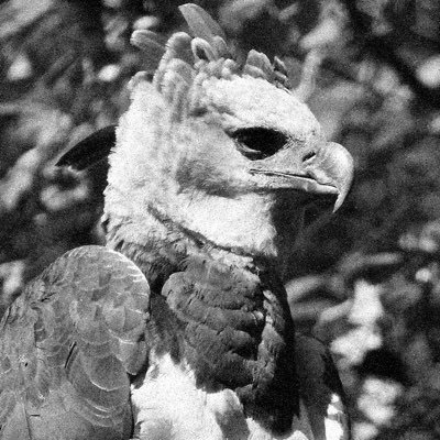 gt0bt's profile picture. 