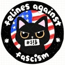 Kit's Accountさんのプロフィール画像