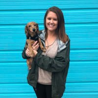 Katie (@ktguen) 's Twitter Profile Photo