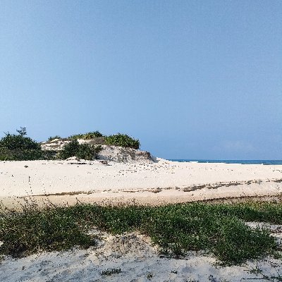 Phi151190's profile picture. Tự do