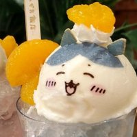カリカリ (@roka_1208) 's Twitter Profile