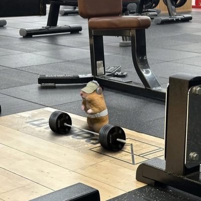 thuy_nguye19328's profile picture. 