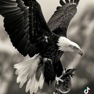 المزيون4 Profile