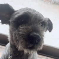 se2gan (@setsugan2) 's Twitter Profile