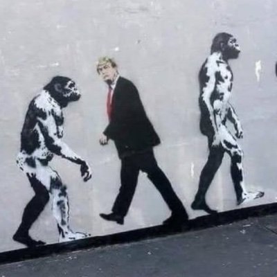 rthompson12105's profile picture. Environmental engineer, ecotourist, fanatic (golf). #VoteBlue #ClimateAction