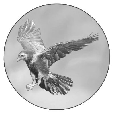 GilbertNitsiza's profile picture. 