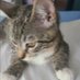 Lenore (@lenore1963) Twitter profile photo Lenore (@lenore1963) Twitter profile photo