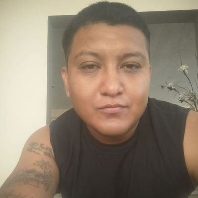 OscarCaamal1304's profile picture. 