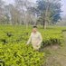 DR.PABITRA BASAK PH.D.(HIMALAYAN STUDIES) (@pabitrabasak11) Twitter profile photo DR.PABITRA BASAK PH.D.(HIMALAYAN STUDIES) (@pabitrabasak11) Twitter profile photo