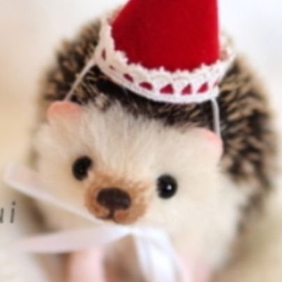 __mokaf's profile picture. 名工大 生命