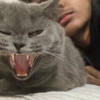 Lnferno (@kinglnferno) 's Twitter Profile Photo Lnferno (@kinglnferno) 's Twitter Profile Photo