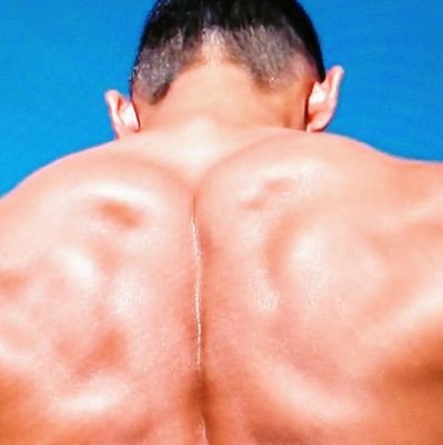 kosei1413488's profile picture. 