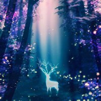 Lita (@qufflsdl) 's Twitter Profile