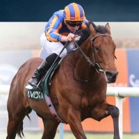 @RIVERTIBER Stallion (@rivertiber68450) 's Twitter Profile Photo @RIVERTIBER Stallion (@rivertiber68450) 's Twitter Profile Photo