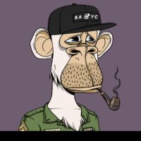 $FEED (@qianyiz17) 's Twitter Profile