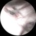 6 (@qq999qqqqq) Twitter profile photo 6 (@qq999qqqqq) Twitter profile photo