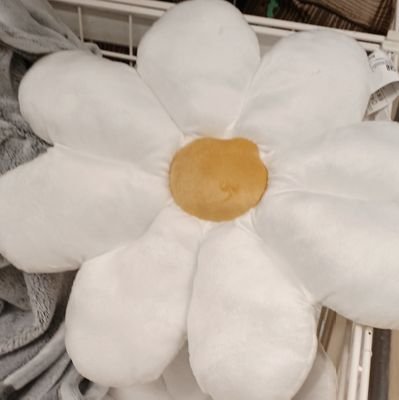 2fkd8pWoLN53574's profile picture. 