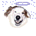 ⛰🎚 (@leafboule) Twitter profile photo ⛰🎚 (@leafboule) Twitter profile photo